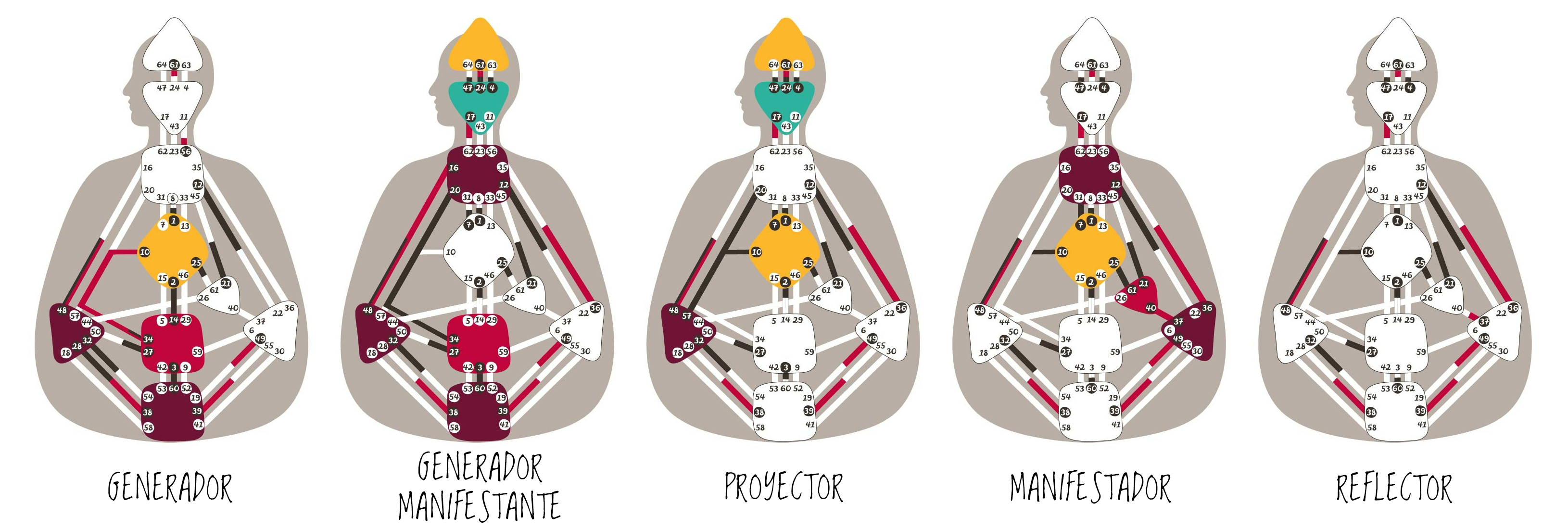 AdobeStock_361973378 Gráficos de los 5 tipos en Diseño Humano
